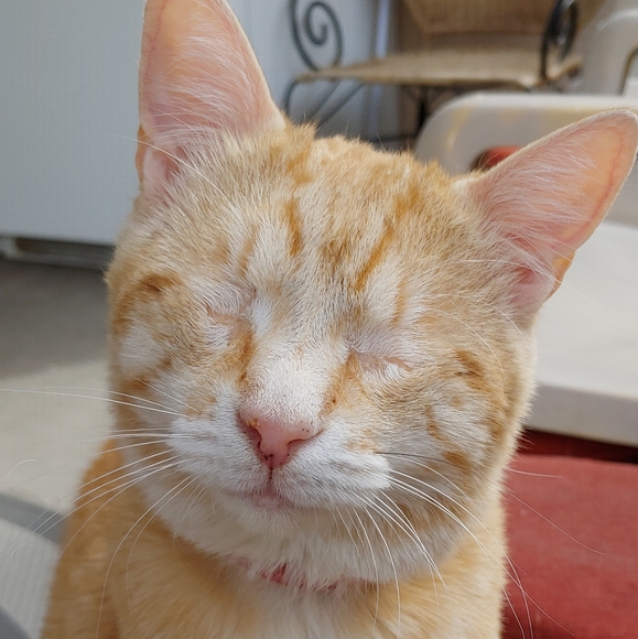 Meet your Posher, Kimberly - Picture 6 of 9